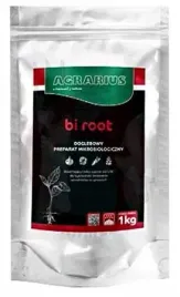 bi-root-1-kg