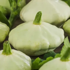 dynia-zwyczajna-patison-polo-f1-nasiona-warzyw-biale-delikatne-owoce