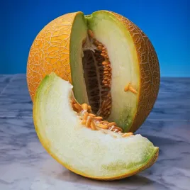 melon-seledyn-f1-b-wczesny-odporny-nasiona-warzyw-soczysty-smak