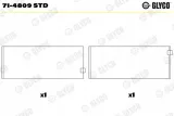 panewki-kor-db-3-0-std-2szt-glyco-71-4809-std-numer-katalogowy-czesci-71-4809-std
