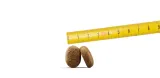josera-optiness-900g