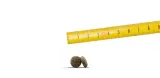 josera-mini-junior-5x900g