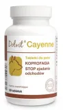 dolvit-cayenne-2x90-tabletek