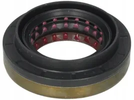 zimering-mostu-db-207