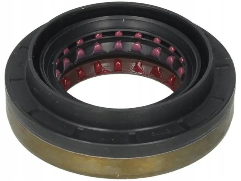 zimering-mostu-db-207