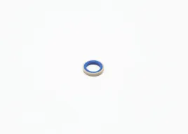 pierscien-pompy-wtr-bosch-f-01m-101-537