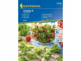 salata-lisciowa-nasiona-crispita-ii-do-salatek