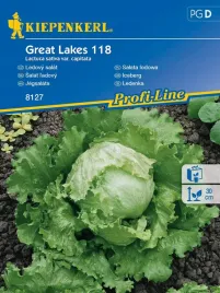 salata-lodowa-krucha-great-lakes-nasiona-salaty-kiepenkerl