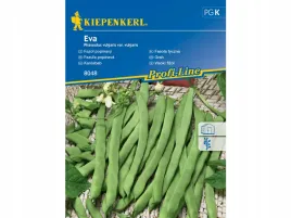 fasola-szparagowa-tyczna-eva-zielona-dobre-nasiona