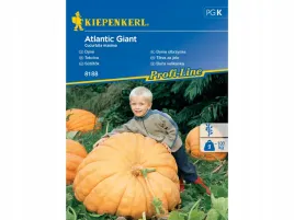 dynia-atlantic-giant-dynia-xxl-nasiona-kiepenkerl