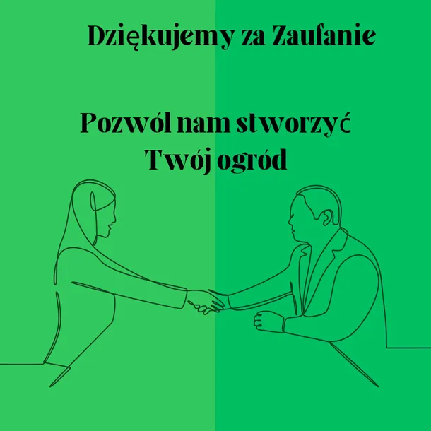 ss-czosnek-ozdobny-millenium-c2-nazwa-lacinska-inna