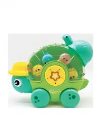 zolwik-wodna-karuzela