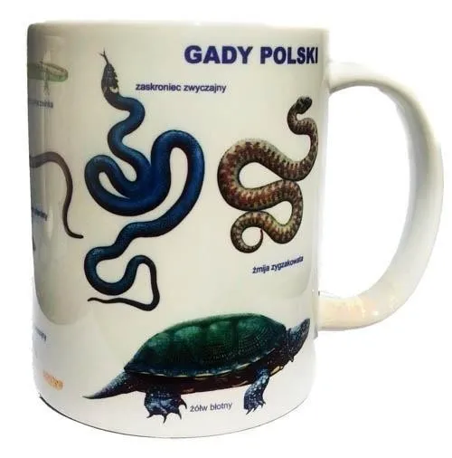 kubek-gady-soliton-stan-nowy