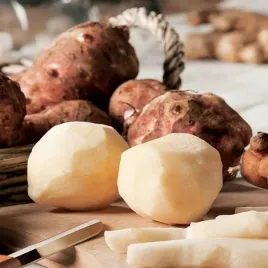 helianthus-tuyberosus-slonecznik-bulwiasty-topinambur-1-szt-sadonki-buwlwy