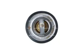 termostat-iveco-daily-96-nrf-725125