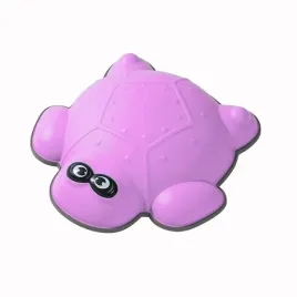 sciezka-sensoryczna-kamienie-rzeczne-zolwik-fioletowy