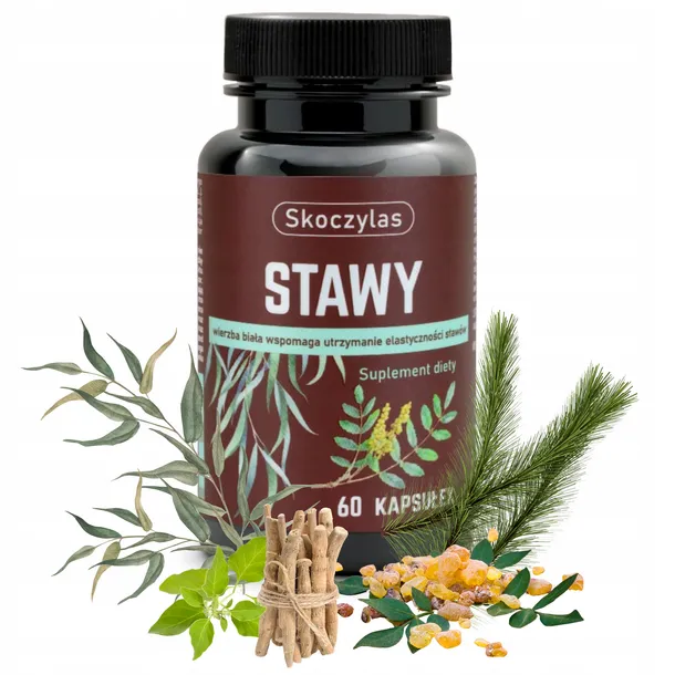 skoczylas-stawy-60-kapsulek-pojemnosc-60-ml