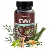 skoczylas-stawy-60-kapsulek-pojemnosc-60-ml