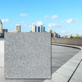 plytki-granitowe-plomieniowane-light-brown-g664-new-60x60x2-cm