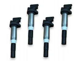 zaplonniki-cewki-0221504464-do-bmw-citroen-ds-mini-cooper-peugeot