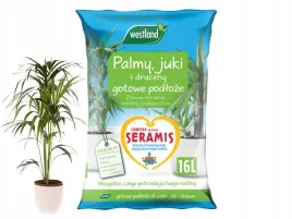palmy-juki-draceny-westland-gotowe-podloze-16-l