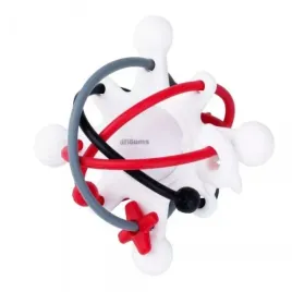 grzechotka-kontrastowa-kosmos