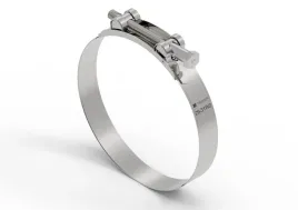 opaska-zaciskowa-gbs-29-31-obejma-w2-stal-nierdzewna-szerokosc-20mm-teg