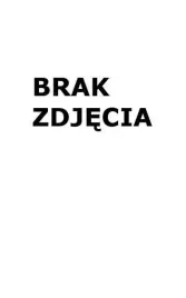 gagagu-puzzle-geometryczne