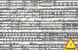 puzzle-1000-nuty-piatnik