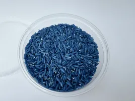 ryz-200-g-kolor-niebieski