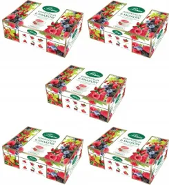 zestaw-herbat-bifix-6-herbat-owocowych-300szt-x-2g