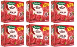 6x-108g-herbapol-herbatka-owocowa-malina-rodzinna-paczka-karton