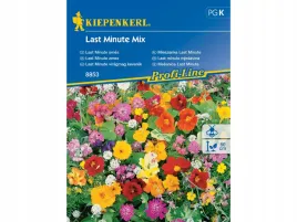 mieszanka-nasiona-last-minute-kwiaty-szybko-rosnace