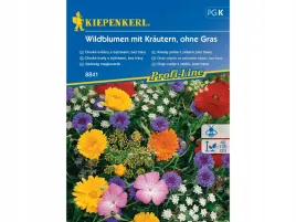 kwiaty-polne-z-ziolami-laka-kwietna-bez-trawy-nasiona