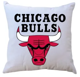 poduszka-z-wkladem-chicago-bulls-producent