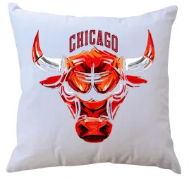 poduszka-z-wkladem-chicago-bulls-producent