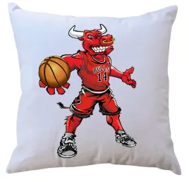 poduszka-z-wkladem-chicago-bulls-producent