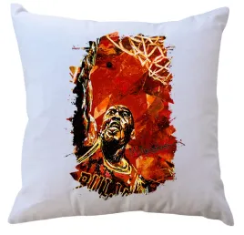 poduszka-z-wkladem-chicago-bulls-producent