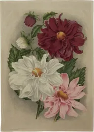 recznik-kuchenny-dalia-fioletowa