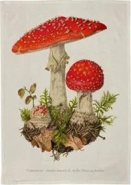 recznik-kuchenny-muchomor