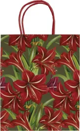 torebka-ozdobna-a5-stbag147-gwiazda-betlejemska