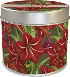 zapachowa-swieczka-jablko-swieta-bozego-narodzenia