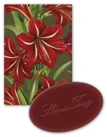 mydelko-ozdobne-jablko-swieta-bozego-narodzenia