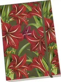 notatnik-ozdobny-a5-stnote-131-gwiazda-betlejemska