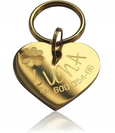 identyfikator-adresowka-dla-kociaka-psiaka-elegancka-wyjatkowa-stalowa-lux