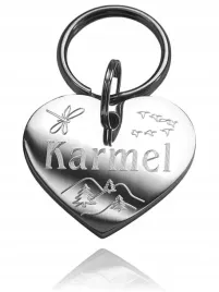 identyfikator-adresowka-dla-kota-psa-serce-serduszko-zlote-srebrne-wygodne