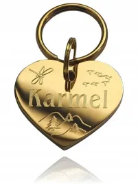 identyfikator-adresowka-dla-kotka-pieska-serce-zlote-lub-srebrne-gustowna