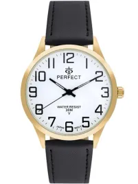 zegarek-meski-perfect-gxb452-11