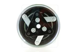 sprzeglo-kompresora-klimatyzacji-sanden-various-models-v6-124-120mm-acauto