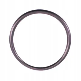 uszczelka-obudowy-filtra-powietrza-vw-passat-20-tdi-06-